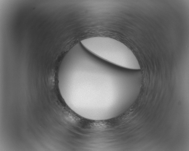 X0000071850668200606301131