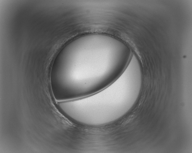X0000071850673200606301130