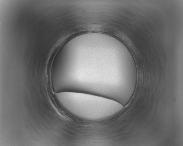 X0000071850674200606301130
