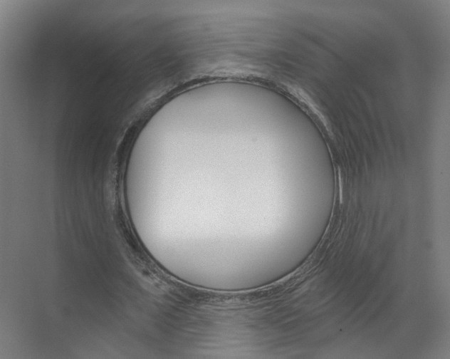 X0000071850675200606301130