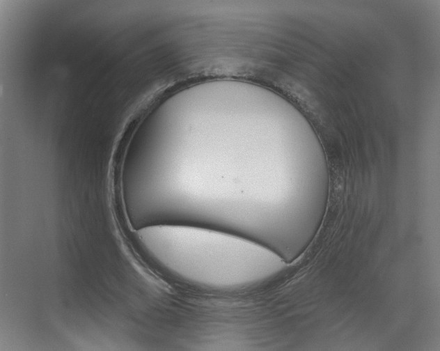 X0000071850678200606301130