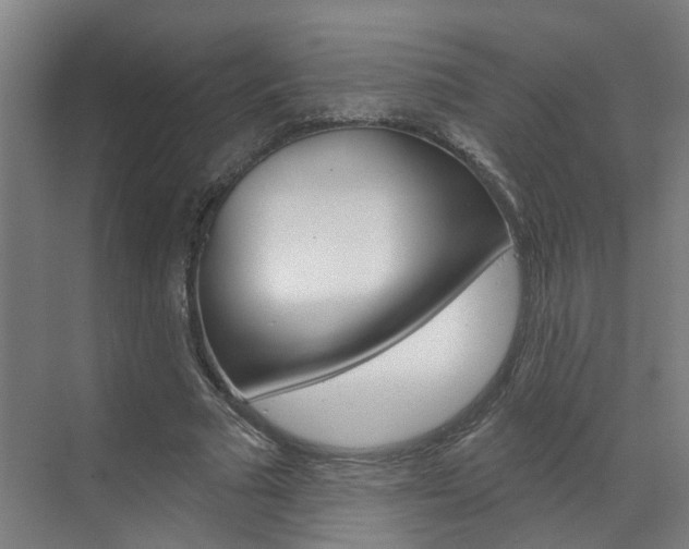 X0000071850681200606301130