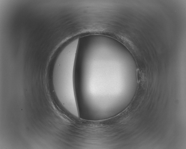 X0000071850684200606301130