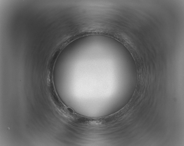 X0000071850692200606301130