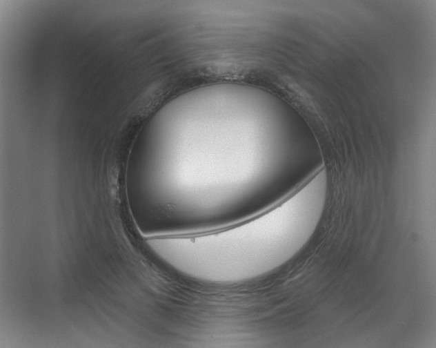 X0000071850693200606301130