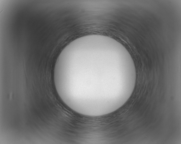 X0000071850701200606301130