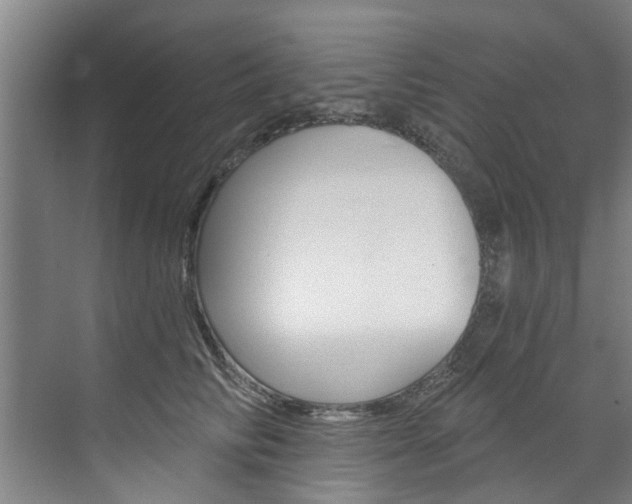 X0000071850710200606301130