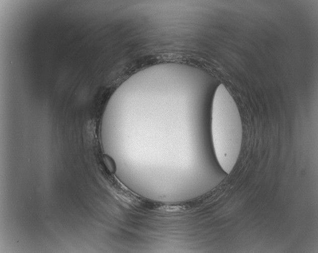 X0000071850711200606301130
