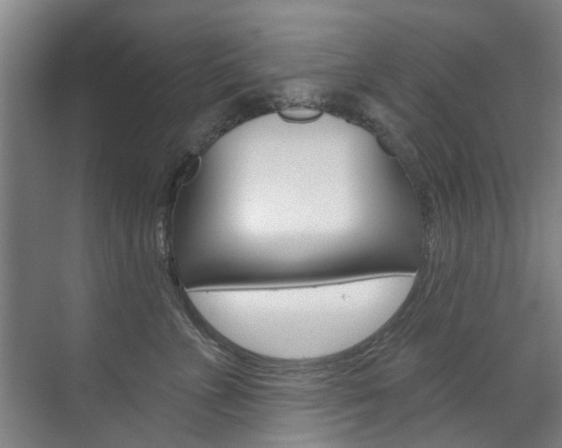 X0000071850715200606301130