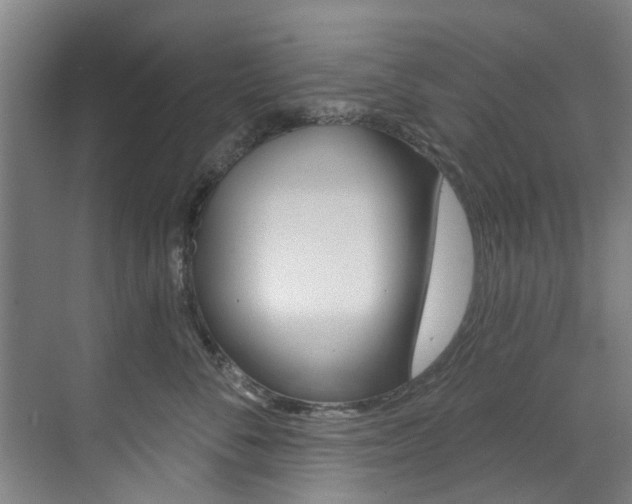X0000071850716200606301130