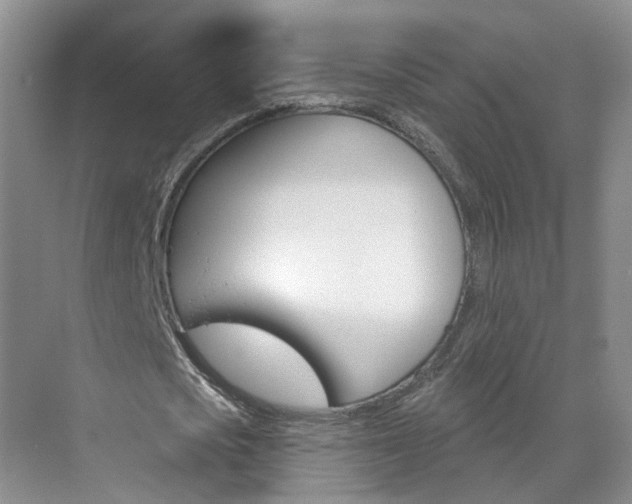 X0000071850721200606301129