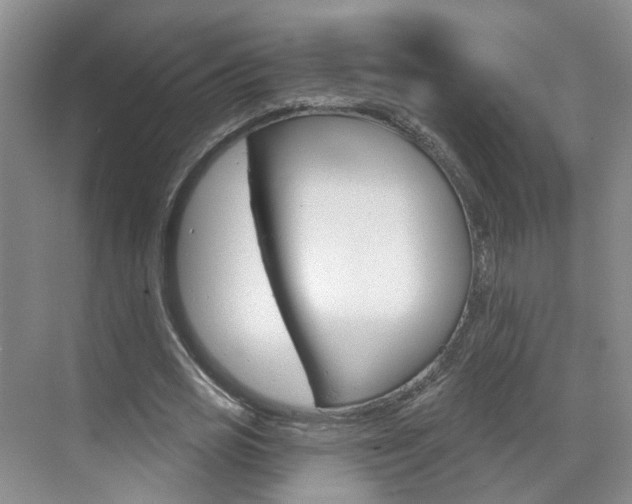 X0000071850725200606301129