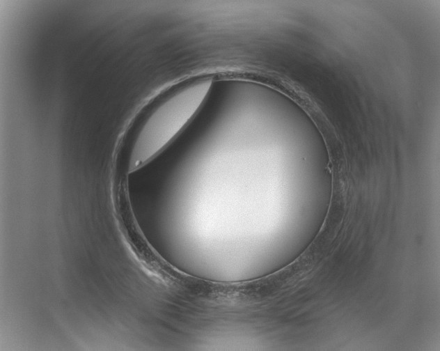 X0000071850728200606301129