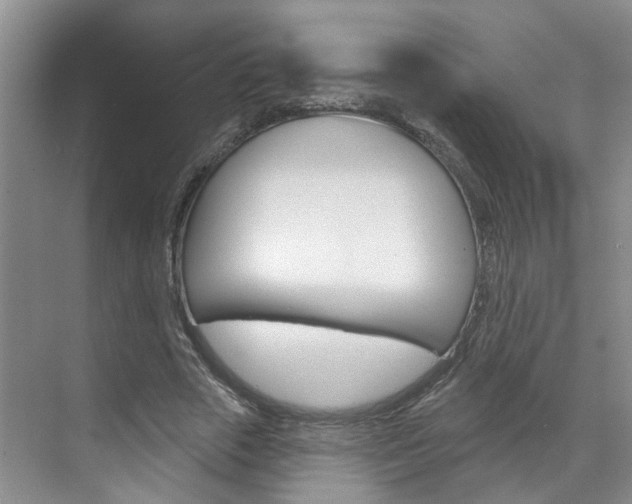 X0000071850729200606301129