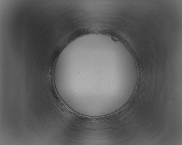 X0000071850737200606301129