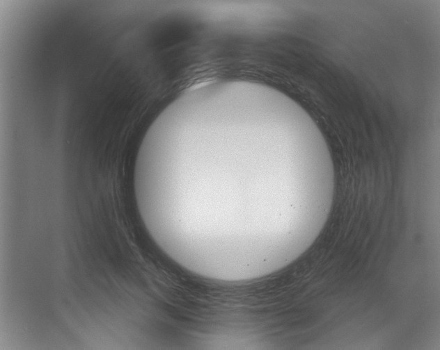 X0000071850743200606301129