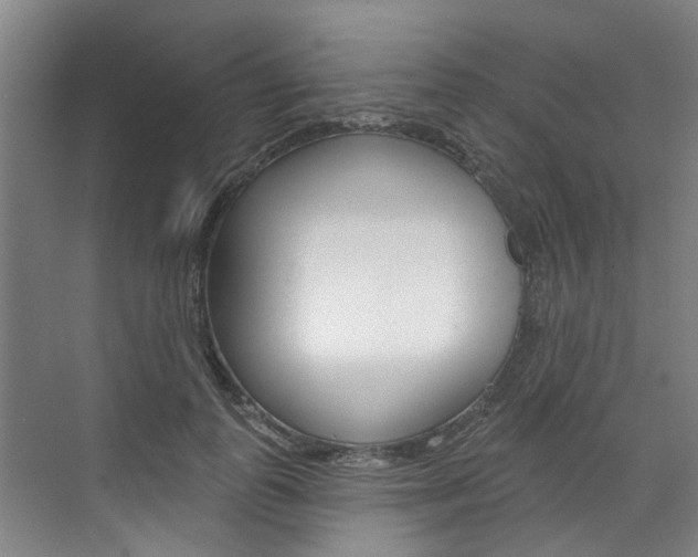 X0000071850747200606301129