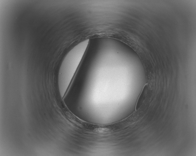 X0000071850748200606301129