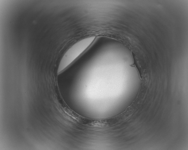 X0000071850756200606301129