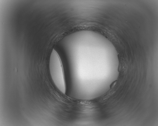 X0000071850758200606301129
