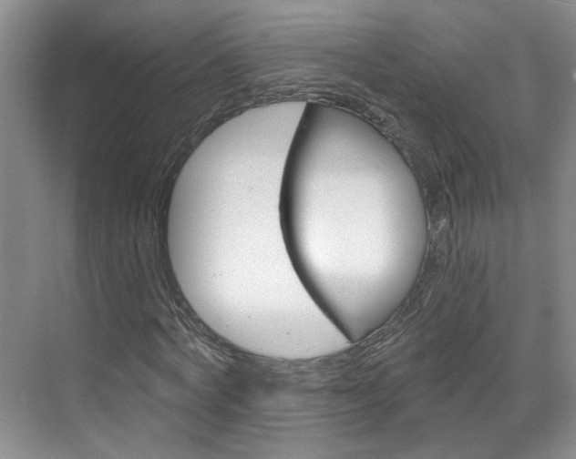 X0000071850772200606301129