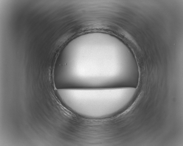 X0000071850777200606301129