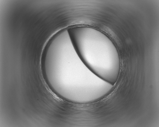 X0000071850780200606301129