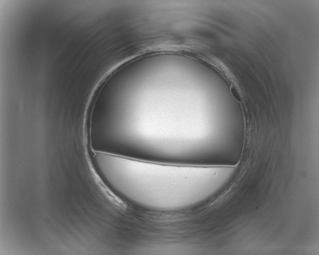 X0000071850795200606301128