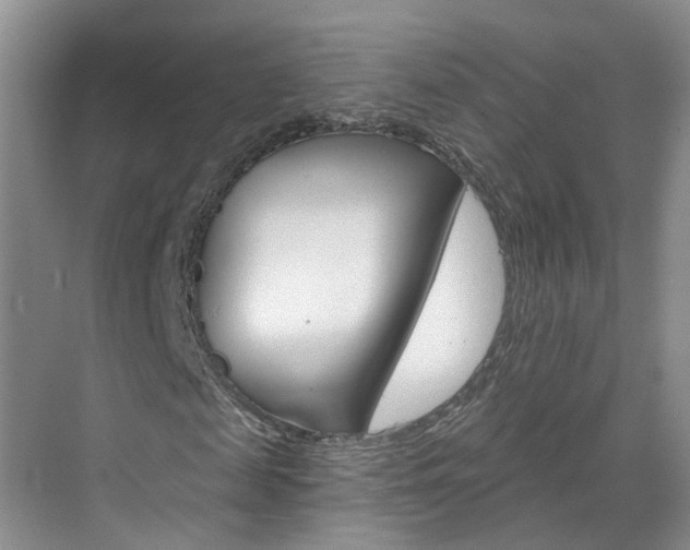 X0000071850817200606301127