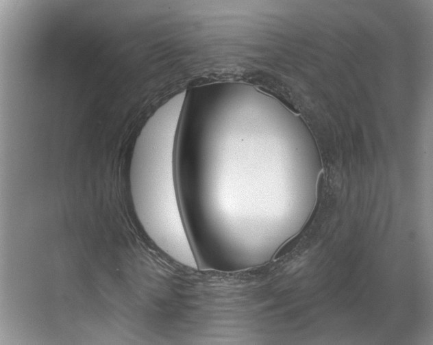 X0000071850818200606301127