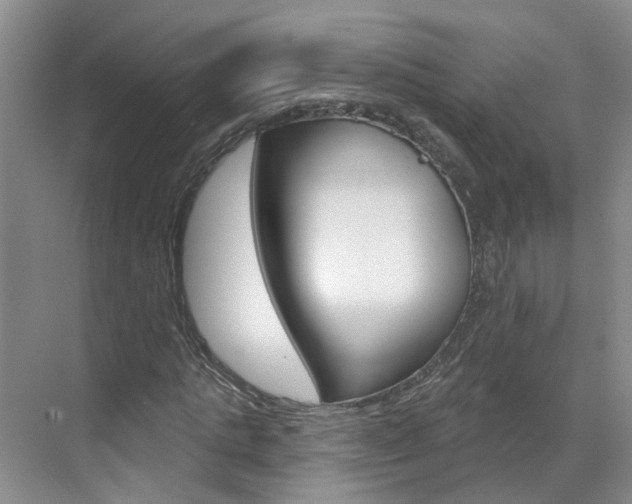 X0000071850821200606301127