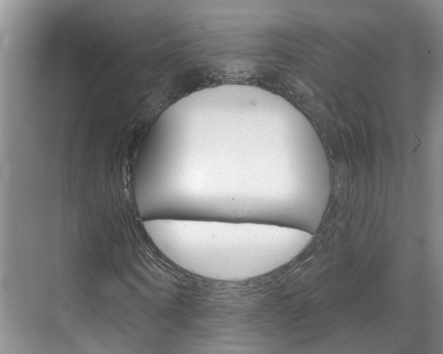 X0000071850866200606301127