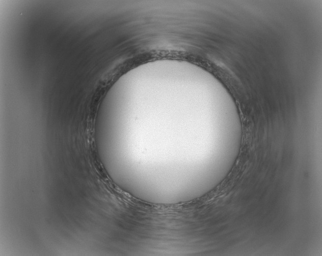 X0000071850870200606301127