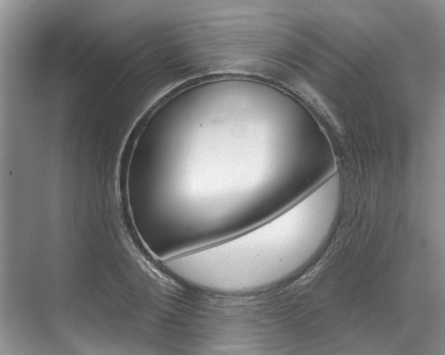 X0000071850884200606301127