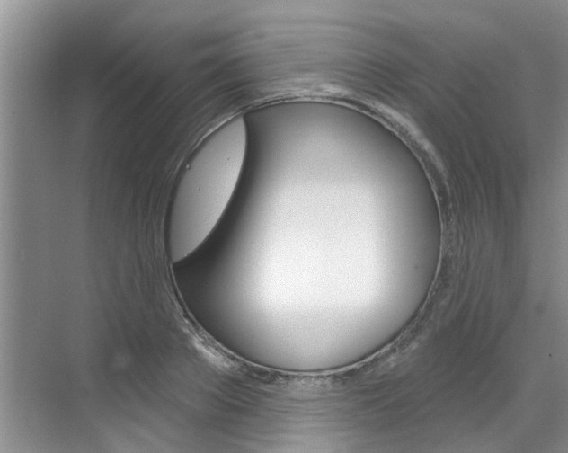 X0000071850889200606301127