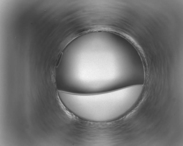 X0000071850905200606301126