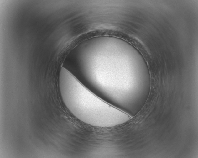 X0000071850919200606301126