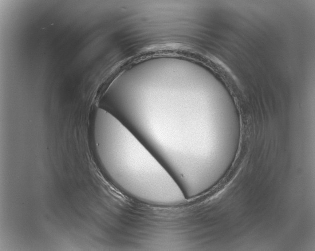 X0000071850921200606301126