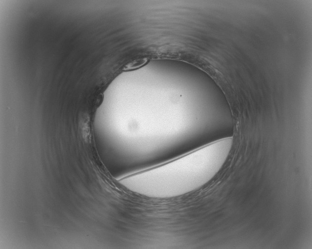 X0000071850963200606301125