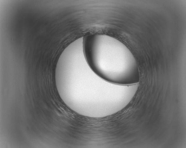 X0000071850964200606301125