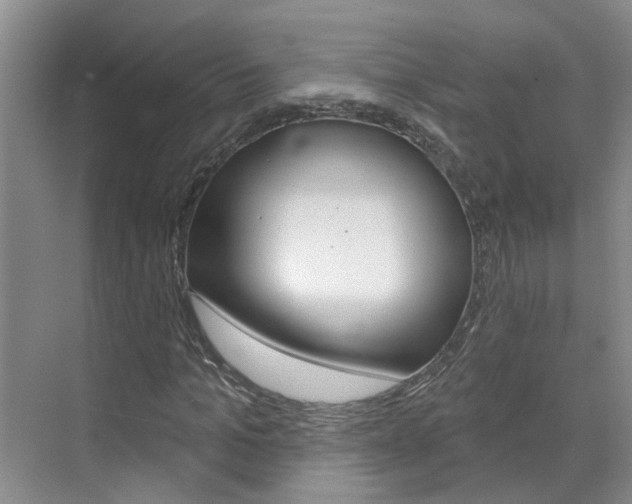 X0000071850965200606301125