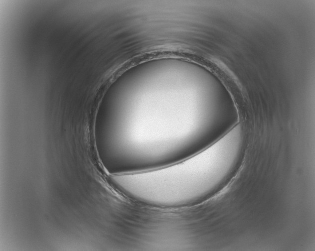 X0000071850969200606301125