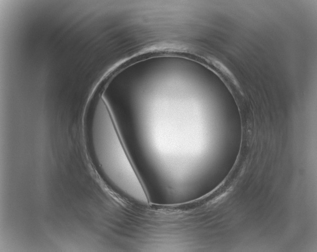 X0000071850981200606301125