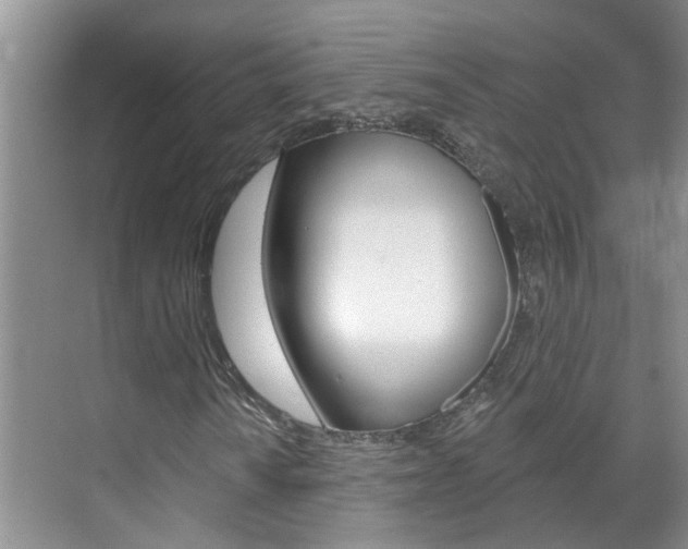 X0000071851010200606301124