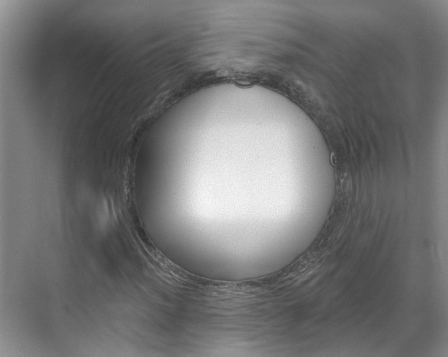 X0000071851012200606301124