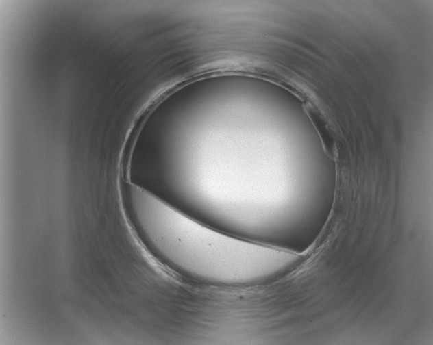 X0000071851034200606301124