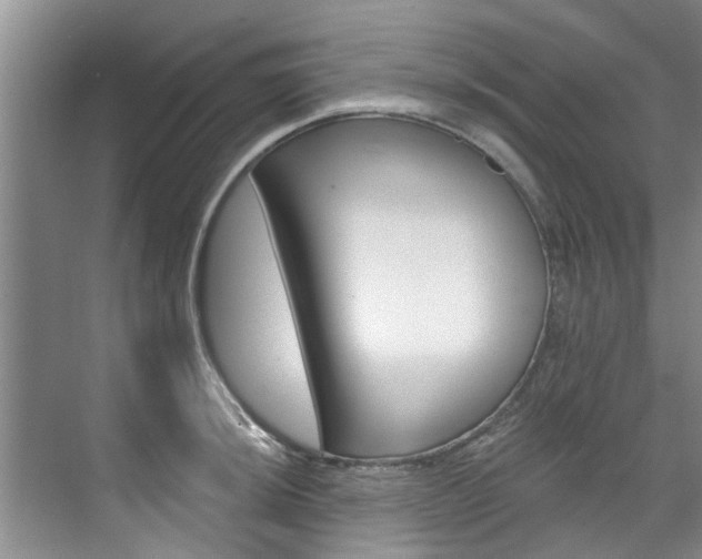X0000071851044200606301124