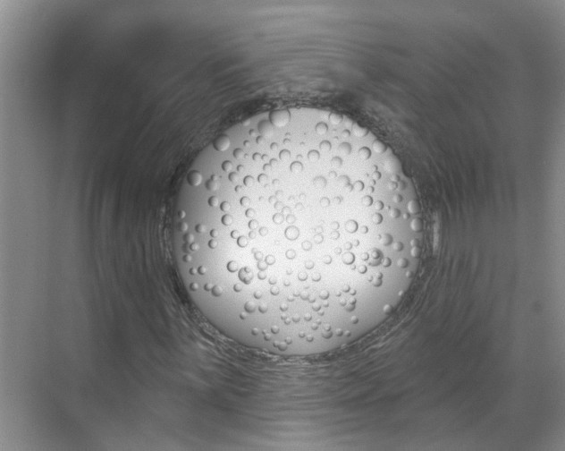 X0000071851059200606301124