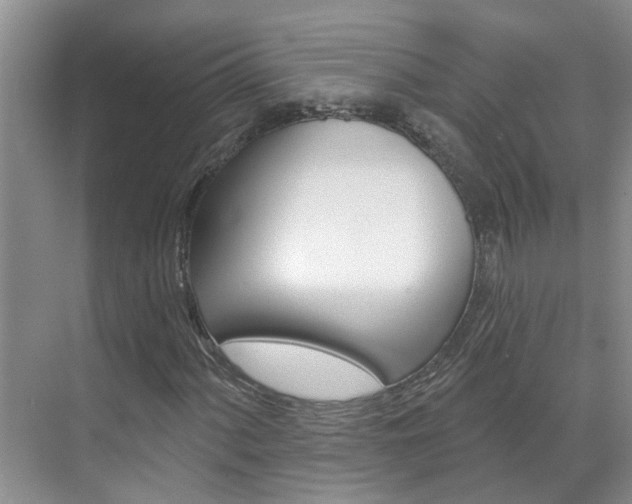 X0000071851060200606301124