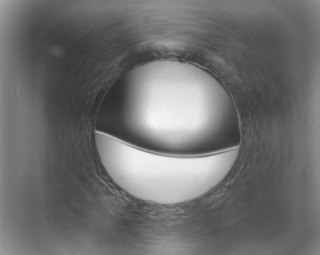 X0000071851061200606301124